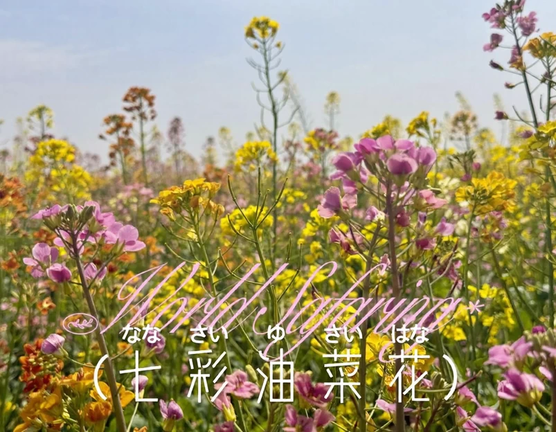 西安旅游 1