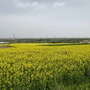 宝鸡旅游 缩略图 14