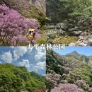 西安旅游 缩略图 5