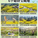 黄山旅游 缩略图 5
