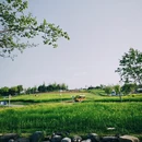 西安旅游 缩略图 3