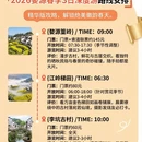 黄山旅游 缩略图 6