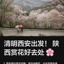西安旅游 缩略图 1