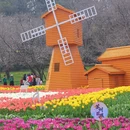 苏州旅游 缩略图 5