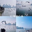 汉中旅游 缩略图 2