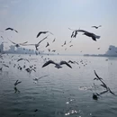 汉中旅游 缩略图 10