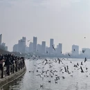 汉中旅游 缩略图 9