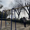 汉中旅游 缩略图 13