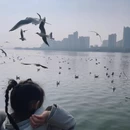 汉中旅游 缩略图 11