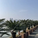 汉中旅游 缩略图 14