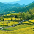 西安旅游 缩略图 3