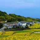 西安旅游 缩略图 4