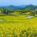 西安旅游 缩略图 2
