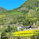 西安旅游 缩略图 5