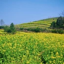 西安旅游 缩略图 3