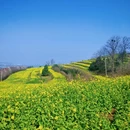 西安旅游 缩略图 2