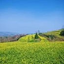 西安旅游 缩略图 7