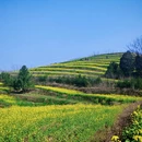 西安旅游 缩略图 4