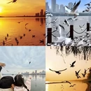 汉中旅游 缩略图 4