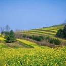 西安旅游 缩略图 6