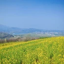 西安旅游 缩略图 8