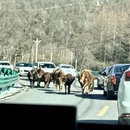 汉中旅游 缩略图 9