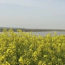 西安旅游 缩略图 4