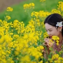 西安旅游 缩略图 10