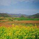 西安旅游 缩略图 6