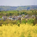 西安旅游 缩略图 7
