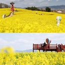 汉中旅游 缩略图 1