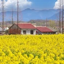 汉中旅游 缩略图 6