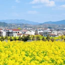 汉中旅游 缩略图 2