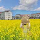 汉中旅游 缩略图 5