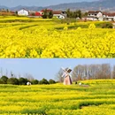 汉中旅游 缩略图 7