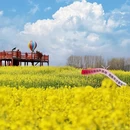 汉中旅游 缩略图 6