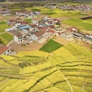汉中旅游 缩略图 4