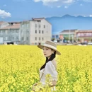 汉中旅游 缩略图 10
