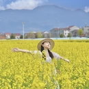 汉中旅游 缩略图 8
