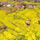 汉中旅游 缩略图 8
