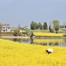 汉中旅游 缩略图 5