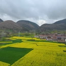 西安旅游 缩略图 2
