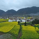 西安旅游 缩略图 1