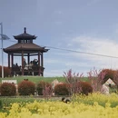 汉中旅游 缩略图 4