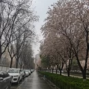 西安旅游 缩略图 3