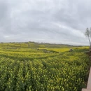 汉中旅游 缩略图 2
