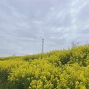 汉中旅游 缩略图 4