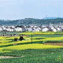 汉中旅游 缩略图 2