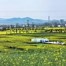 汉中旅游 缩略图 6