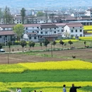 汉中旅游 缩略图 5